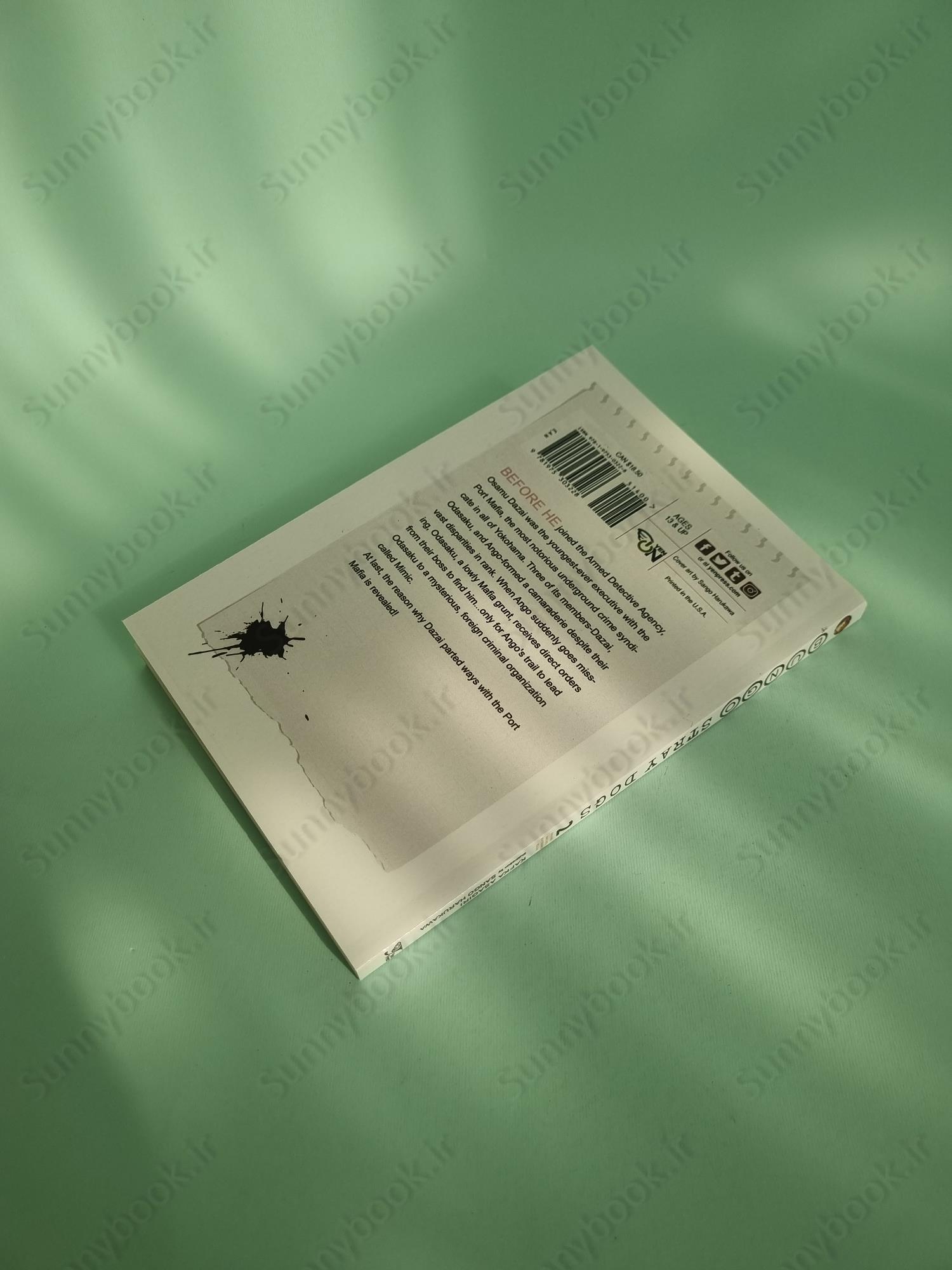 Bungo Stray Dogs Vol. 2 main 1 6