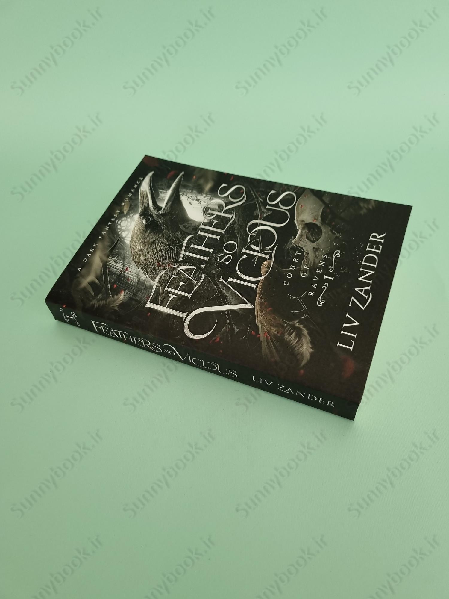 Feathers So Vicious (Court of Ravens 1) main 1 3