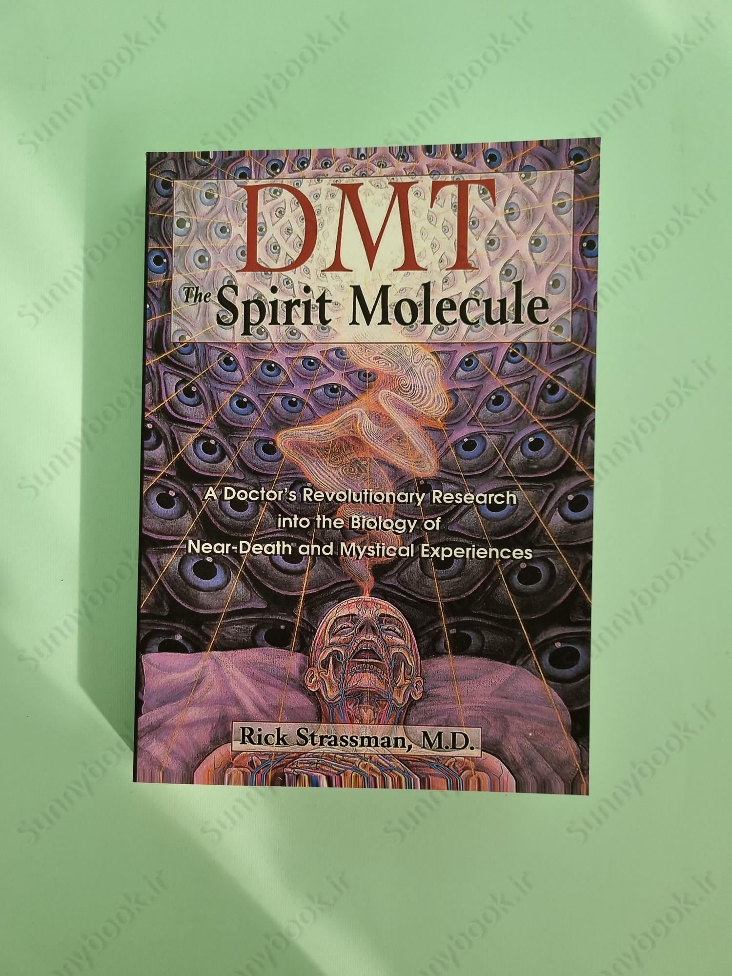 DMT: The Spirit Molecule main 1 2