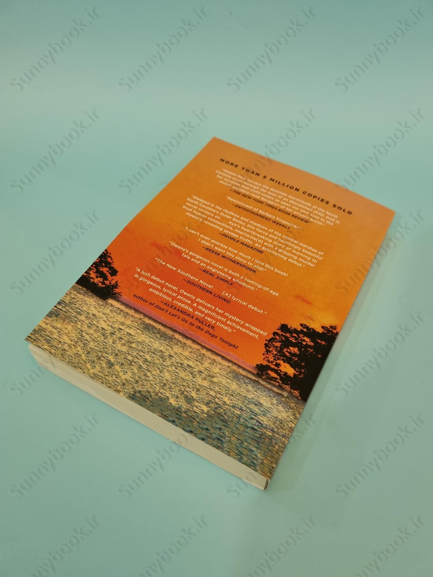 Where the Crawdads Sing main 1 4