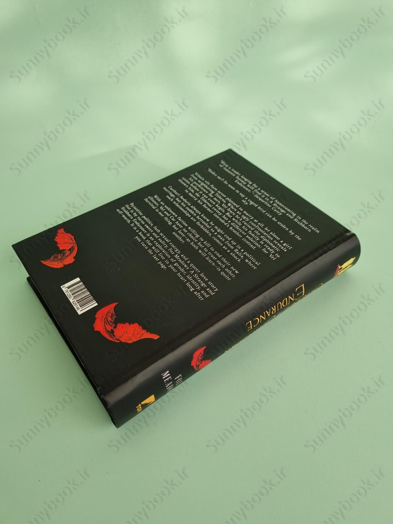 A Strange and Stubborn Endurance (The Tithenai Chronicles 1) main 1 5