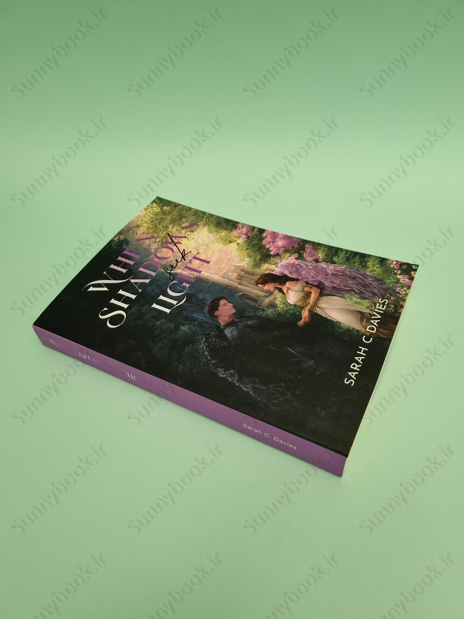 When Shadows Seek Light main 1 3