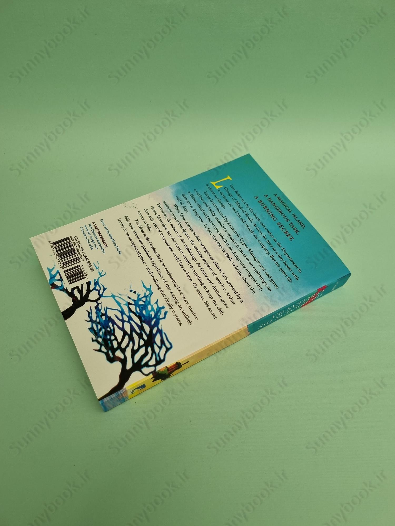 The House in the Cerulean Sea (Cerulean Chronicles 1) main 1 5