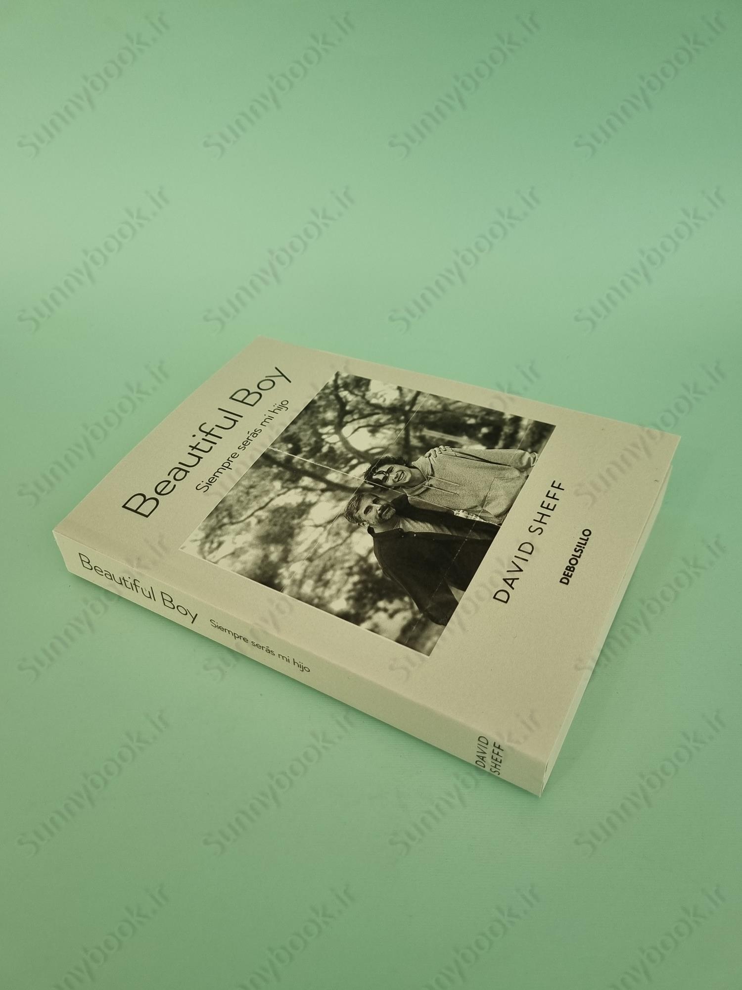 Beautiful Boy: A Father's Journey Through His Son's Addiction main 1 3