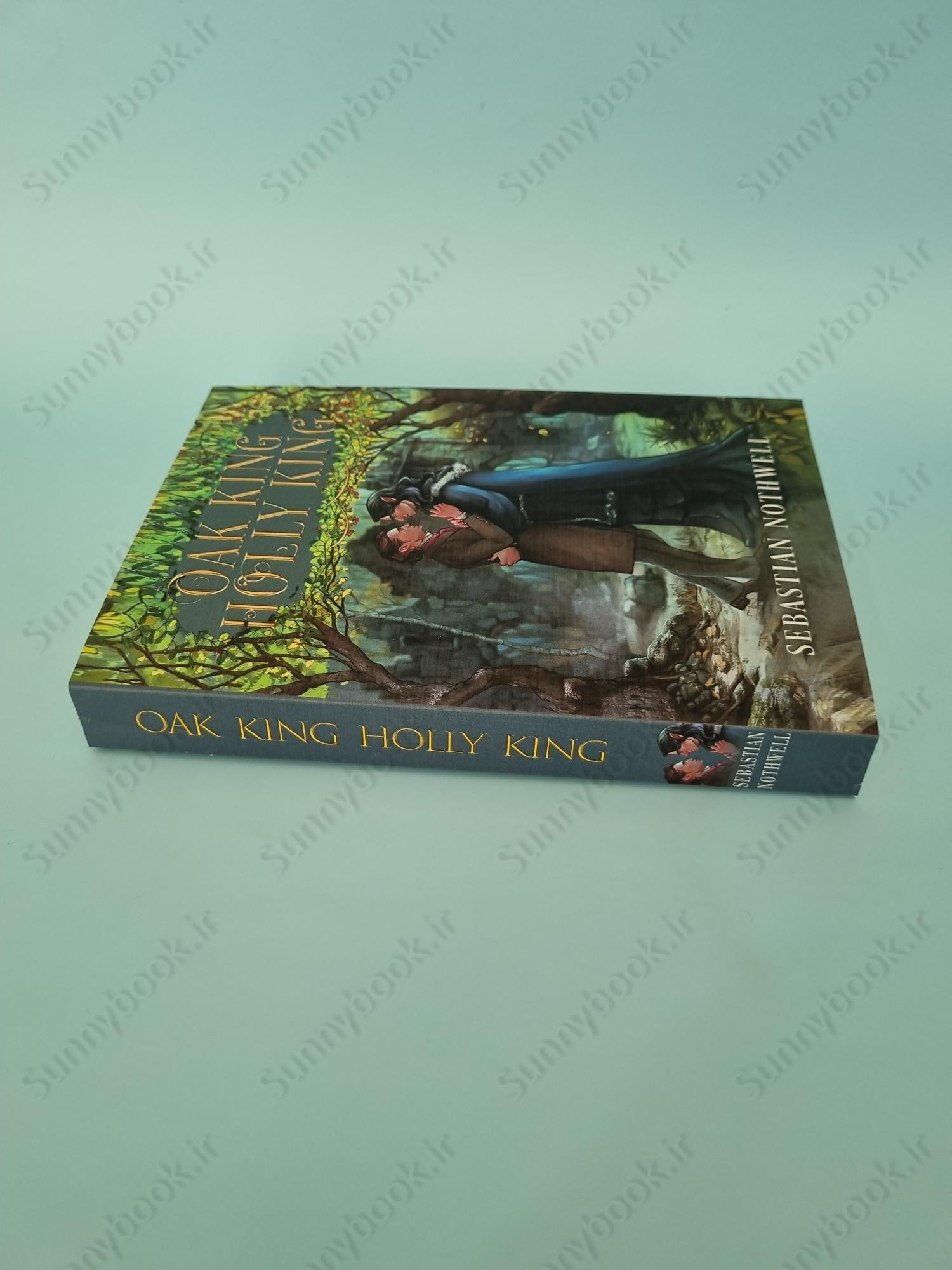 Oak King Holly King Book 1 of 2 main 1 4