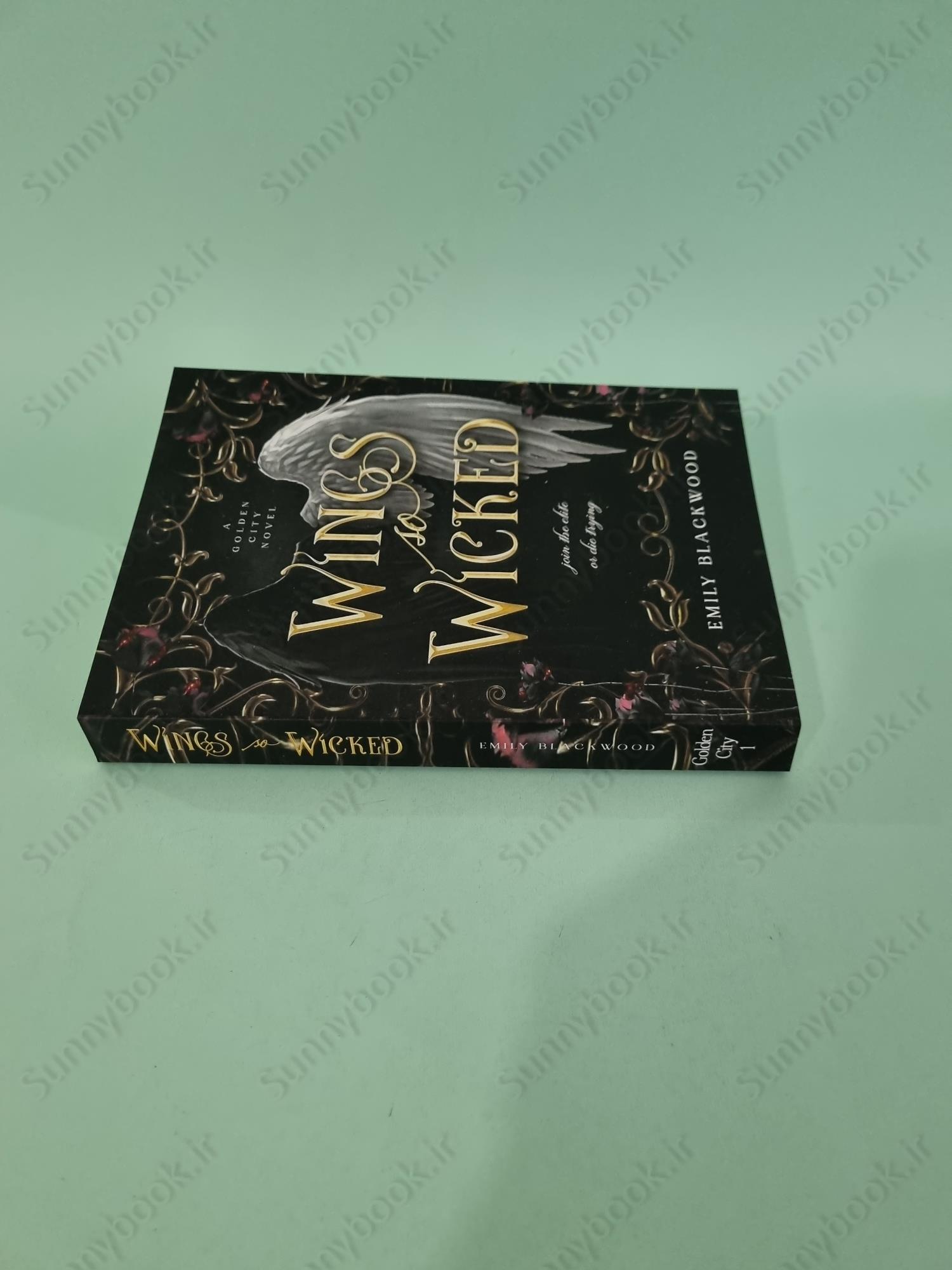 Wings So Wicked (Golden City 1) main 1 4