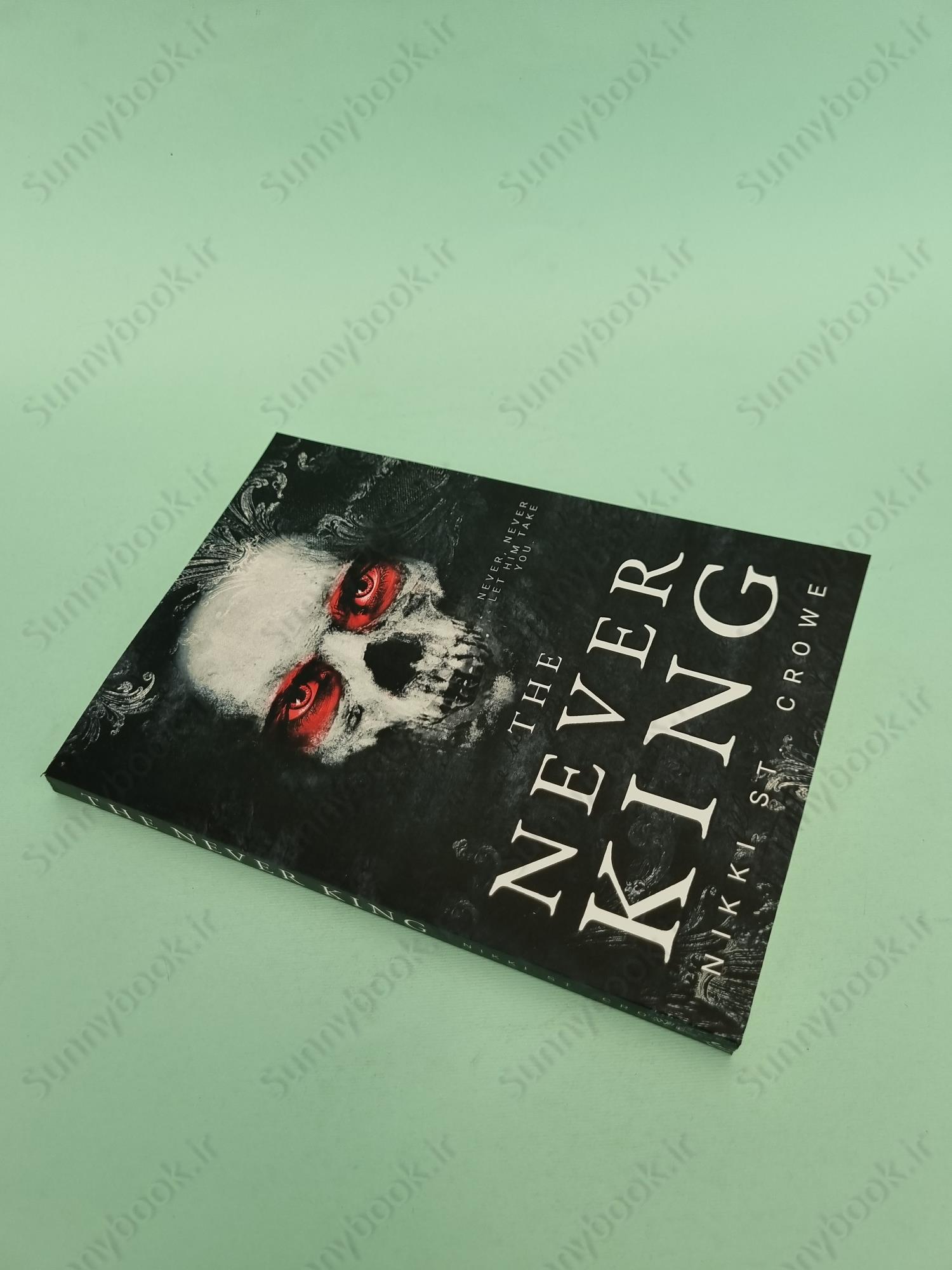 The Never King (Vicious Lost Boys Book 1) main 1 3