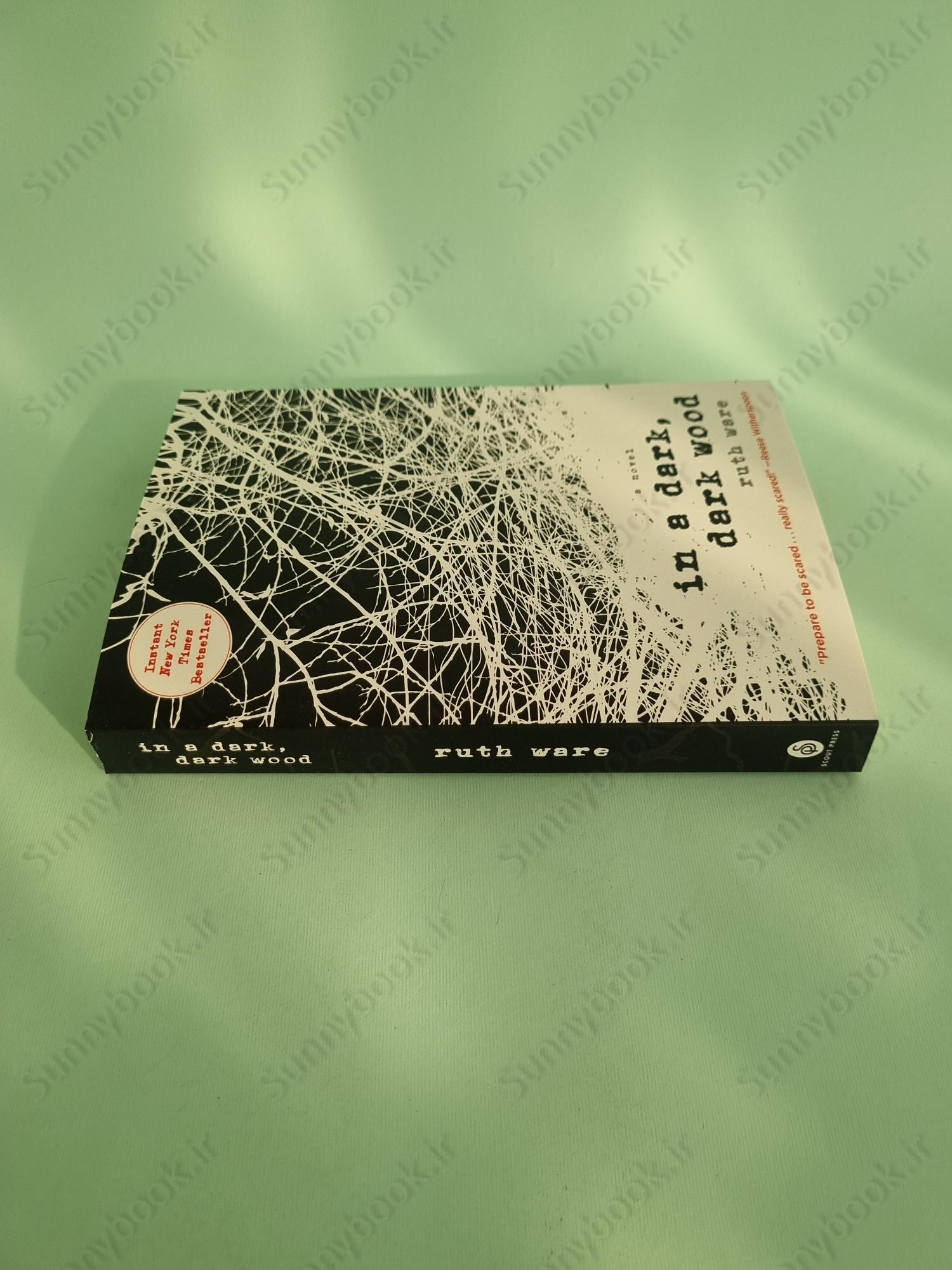 In a Dark, Dark Wood main 1 4