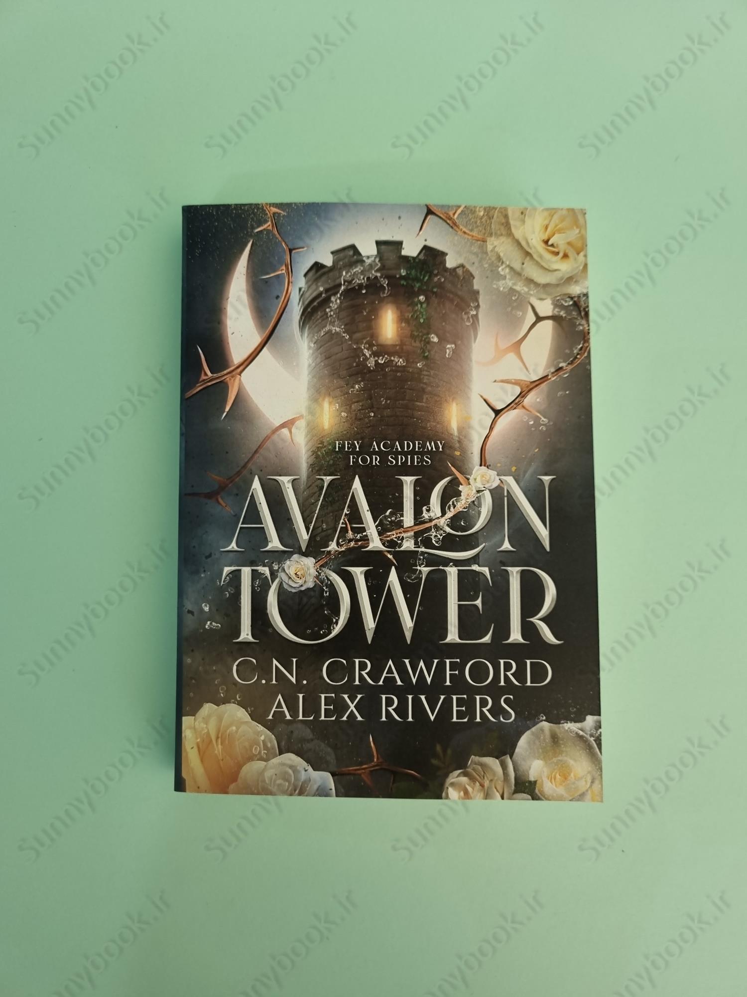 Avalon Tower (Fey Spy Academy Book 1) main 1 2