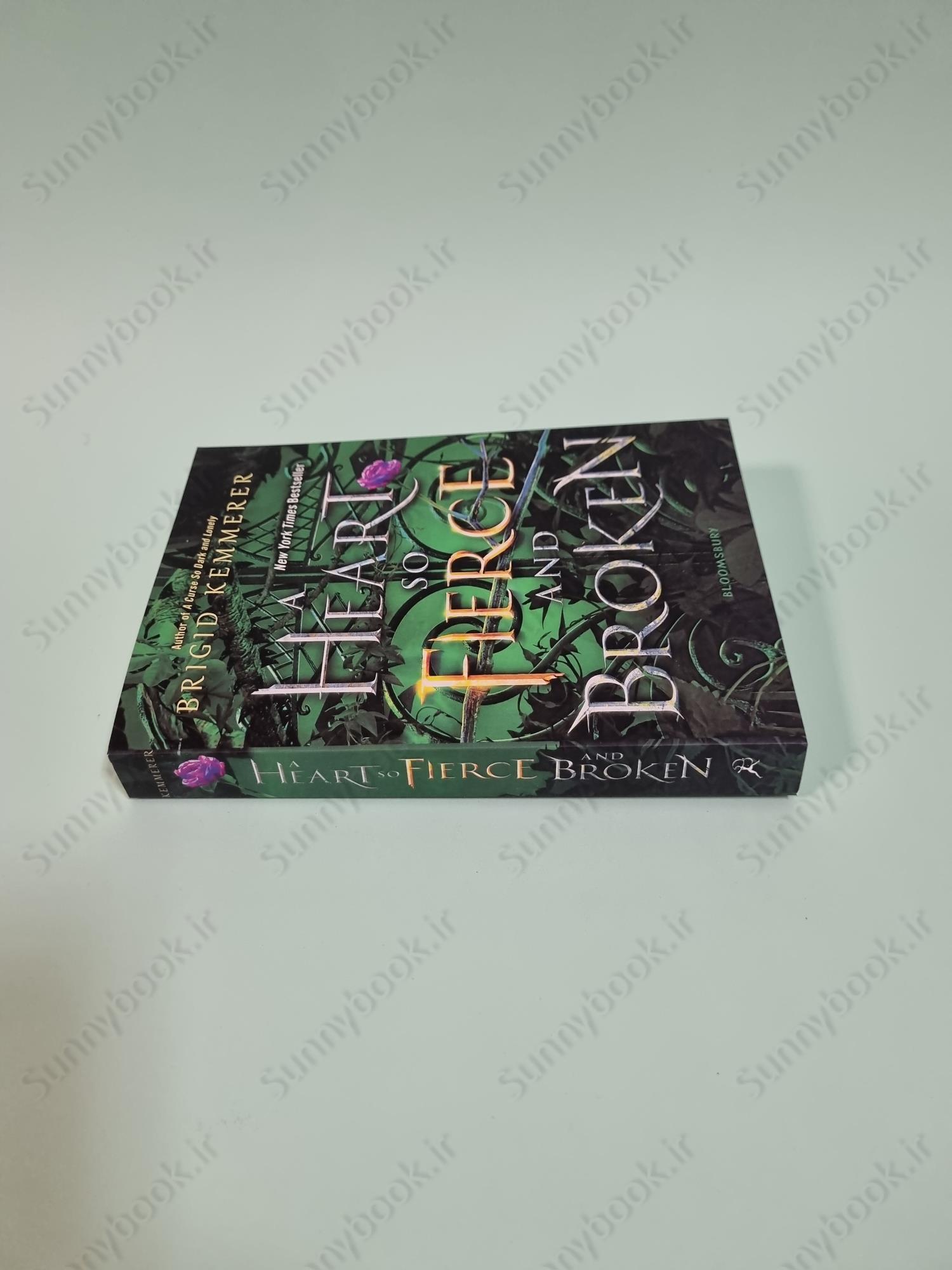 A Heart So Fierce and Broken (Cursebreakers 2) main 1 4