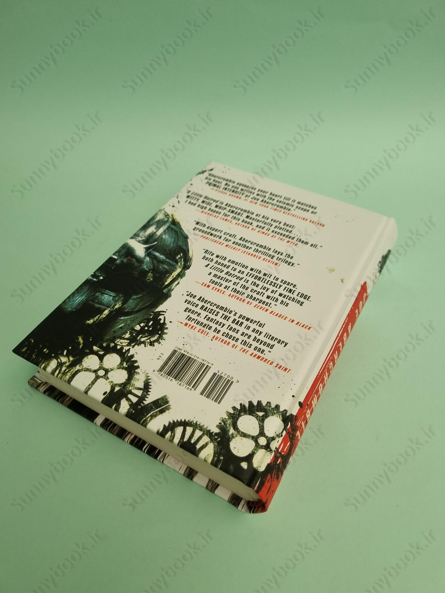 A Little Hatred (The Age of Madness 1) main 1 4