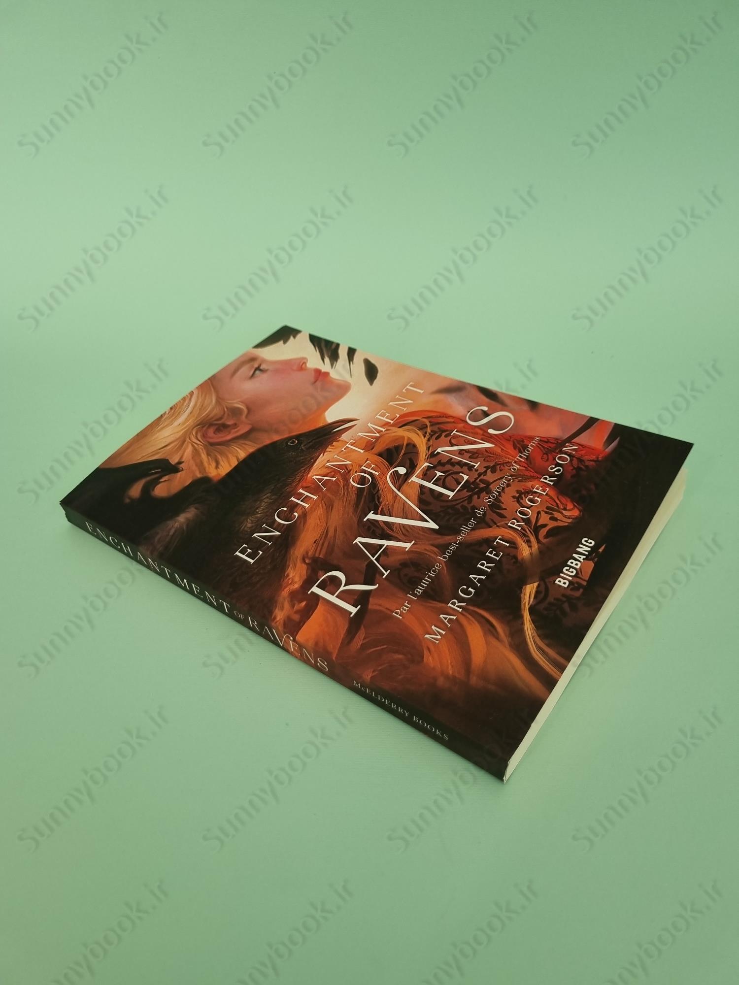 An Enchantment of Ravens main 1 3