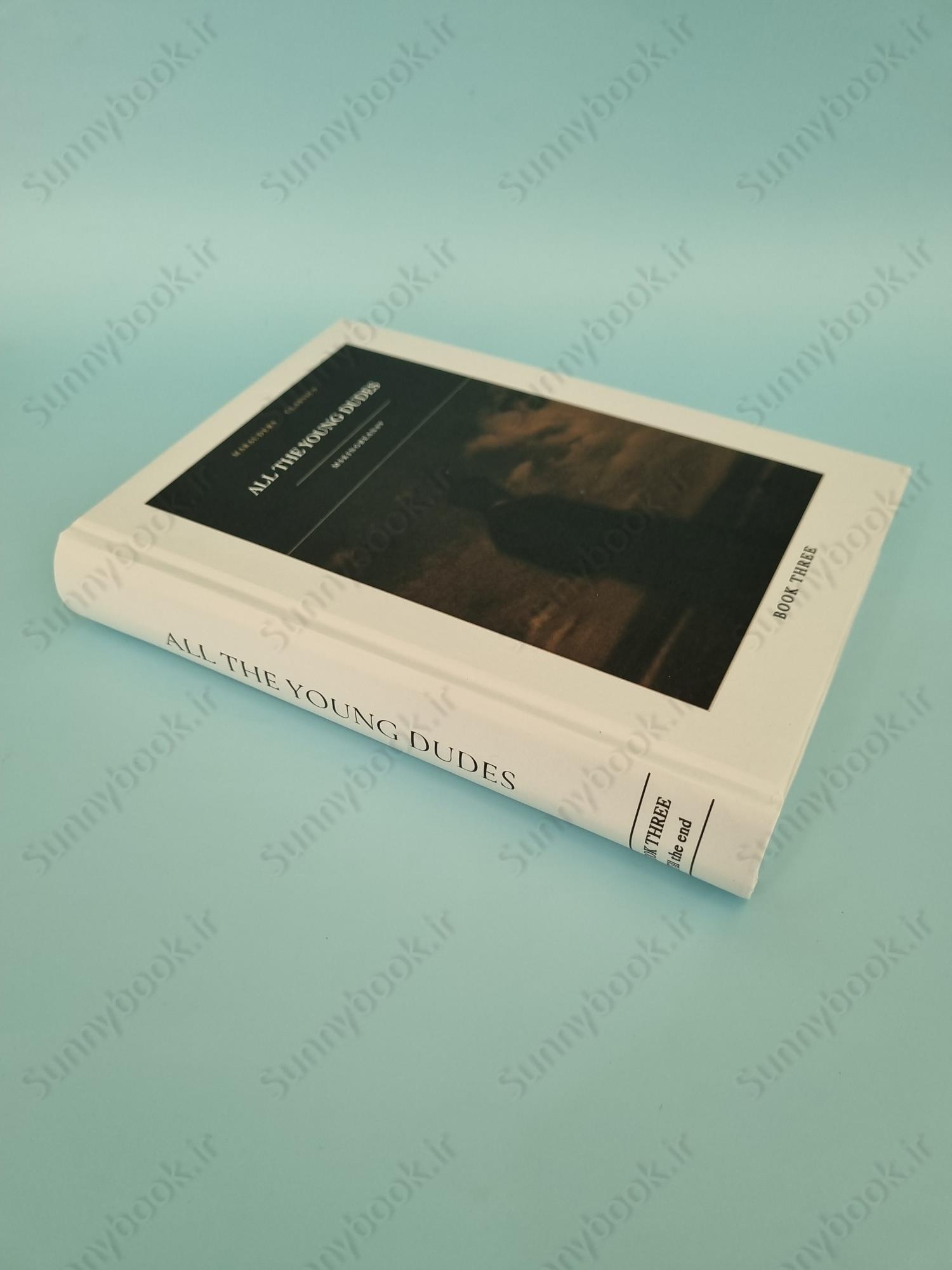 All The Young Dudes - Volume Three: ‘Til the End main 1 3