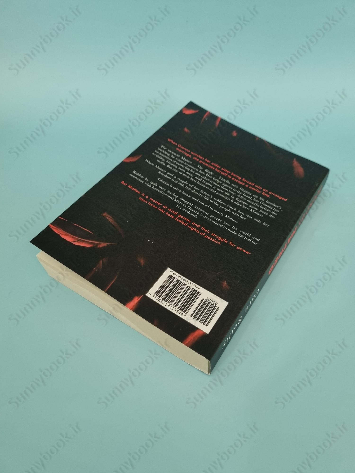 Bound by Hatred (Born in Blood Mafia 3) main 1 4