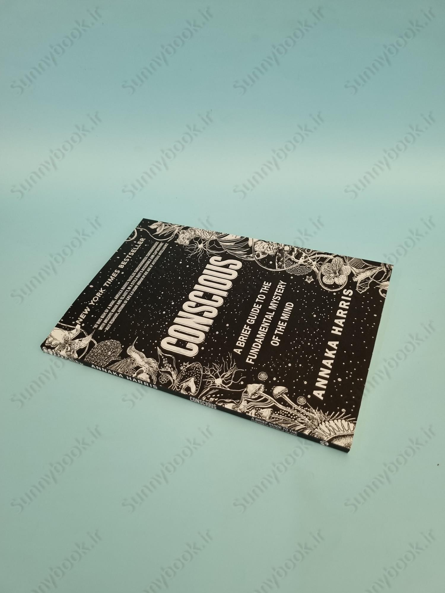 Conscious: A Brief Guide to the Fundamental Mystery of the Mind main 1 3