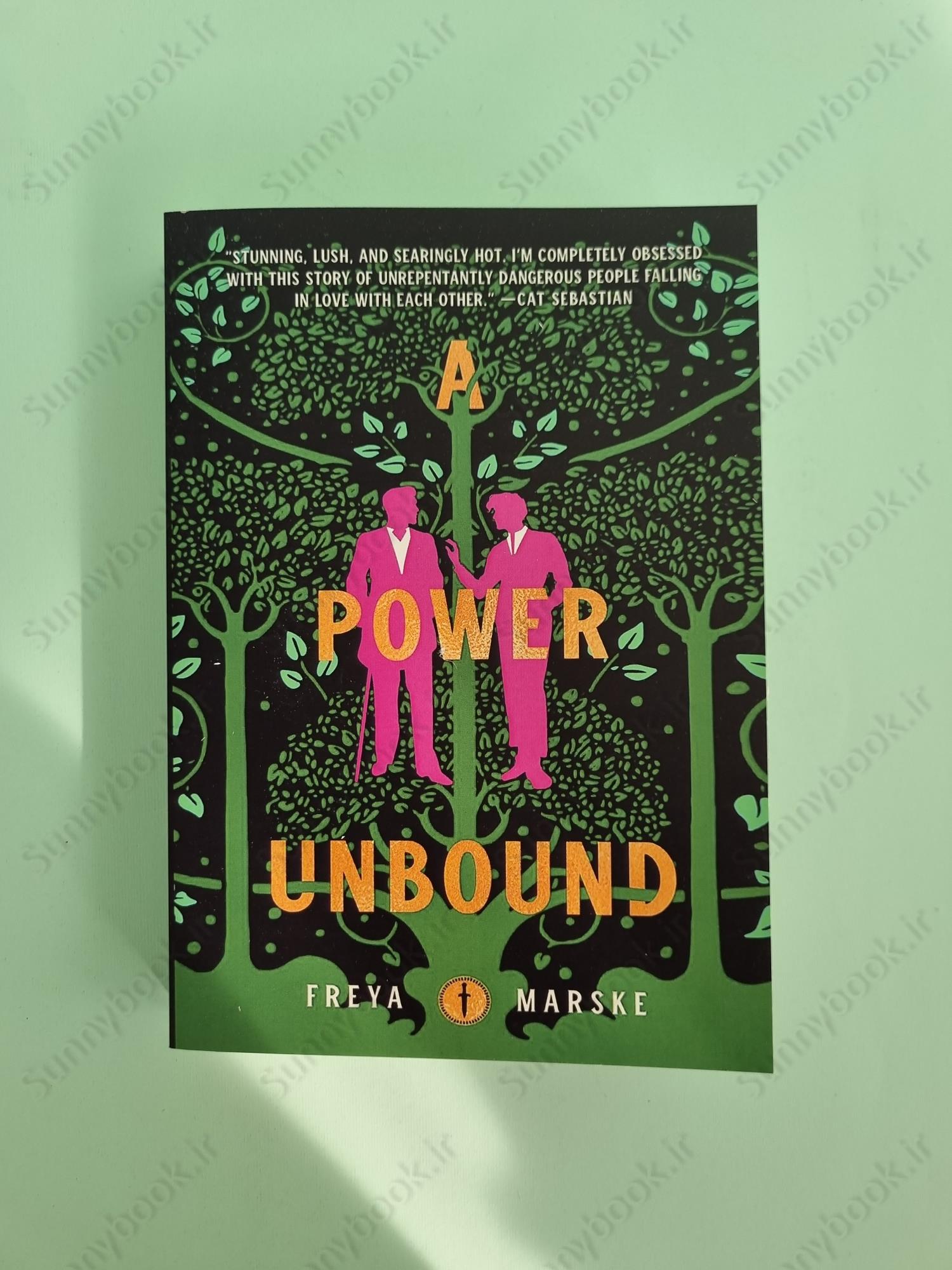 A Power Unbound (The Last Binding 3) main 1 2
