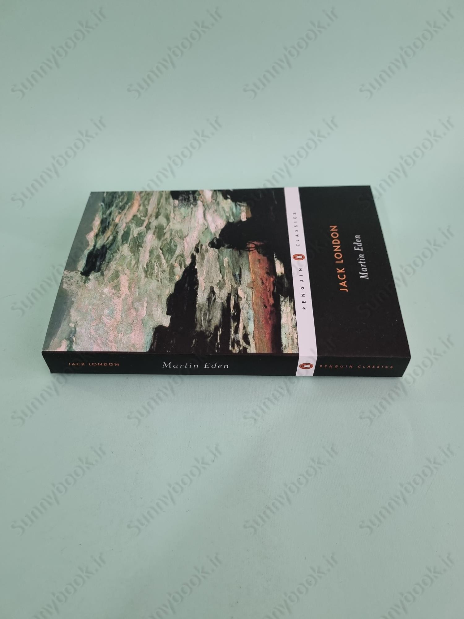 Martin Eden main 1 4