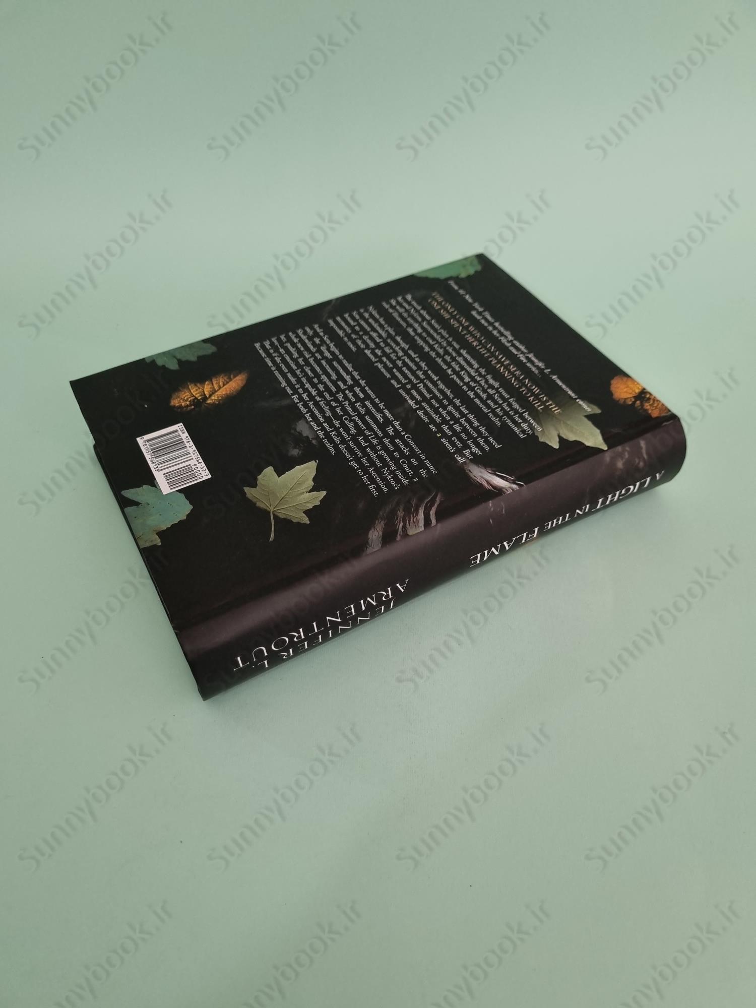 A Light in the Flame (A Flesh and Fire 2) main 1 5