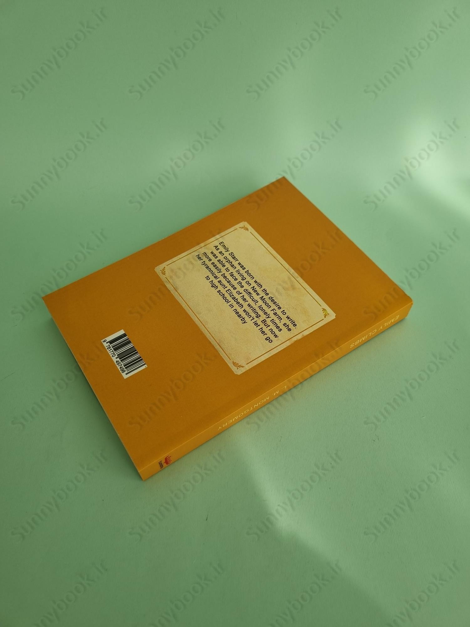 Emily Climbs (The Emily Trilogy Book 2) main 1 5