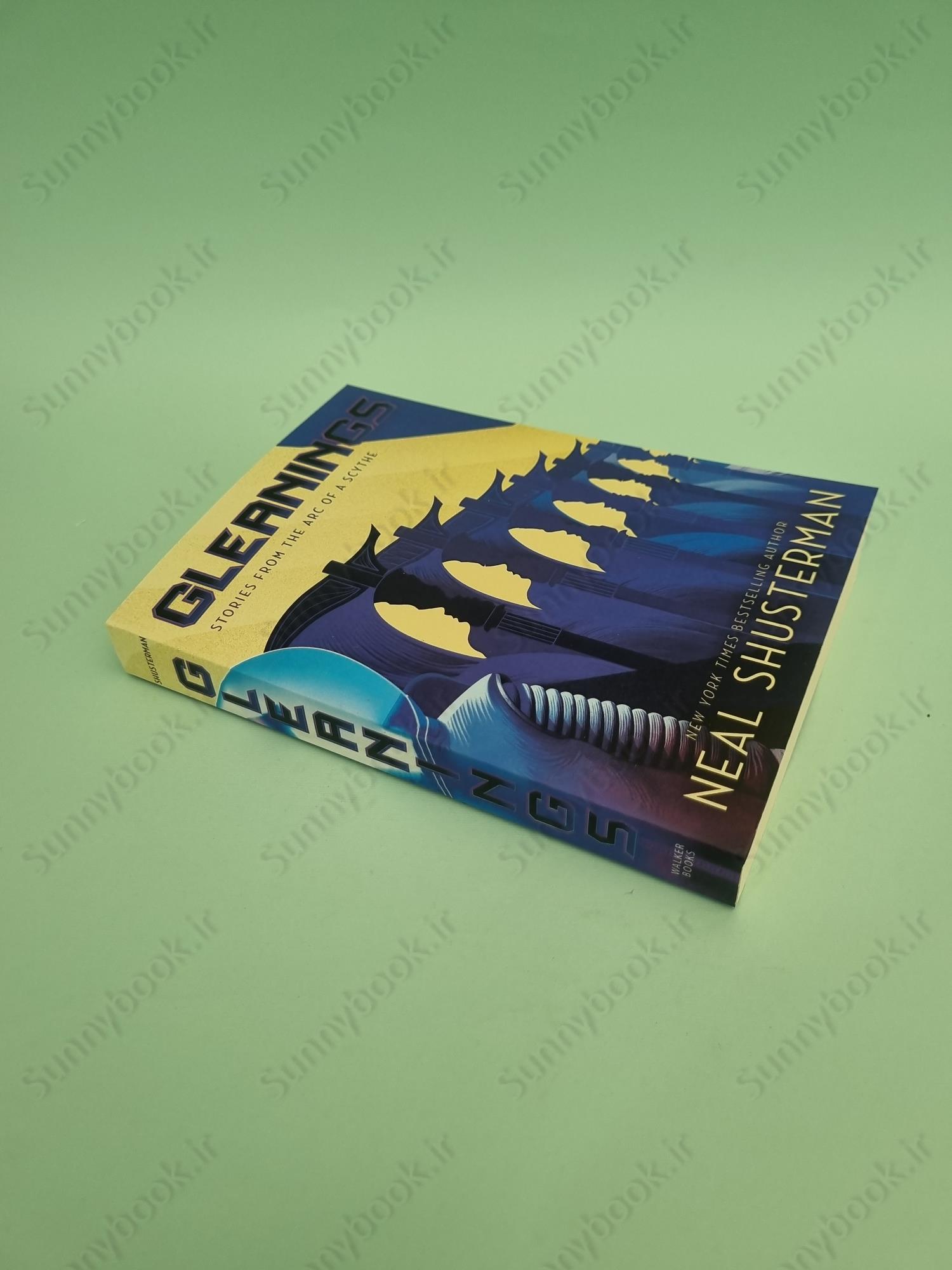 Gleanings: Stories from the Arc of a Scythe main 1 3