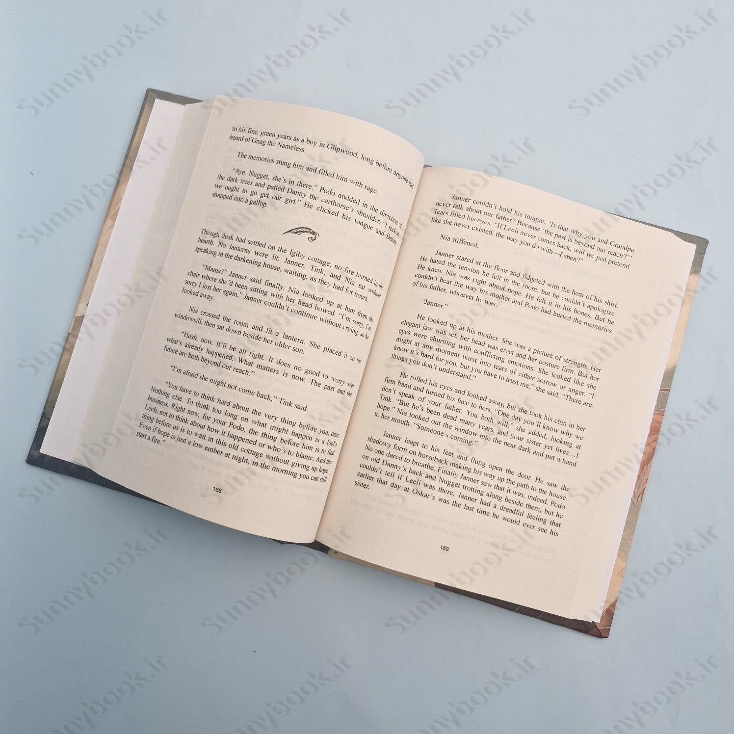 On the Edge of the Dark Sea of Darkness: (Wingfeather Series 1) main 1 5