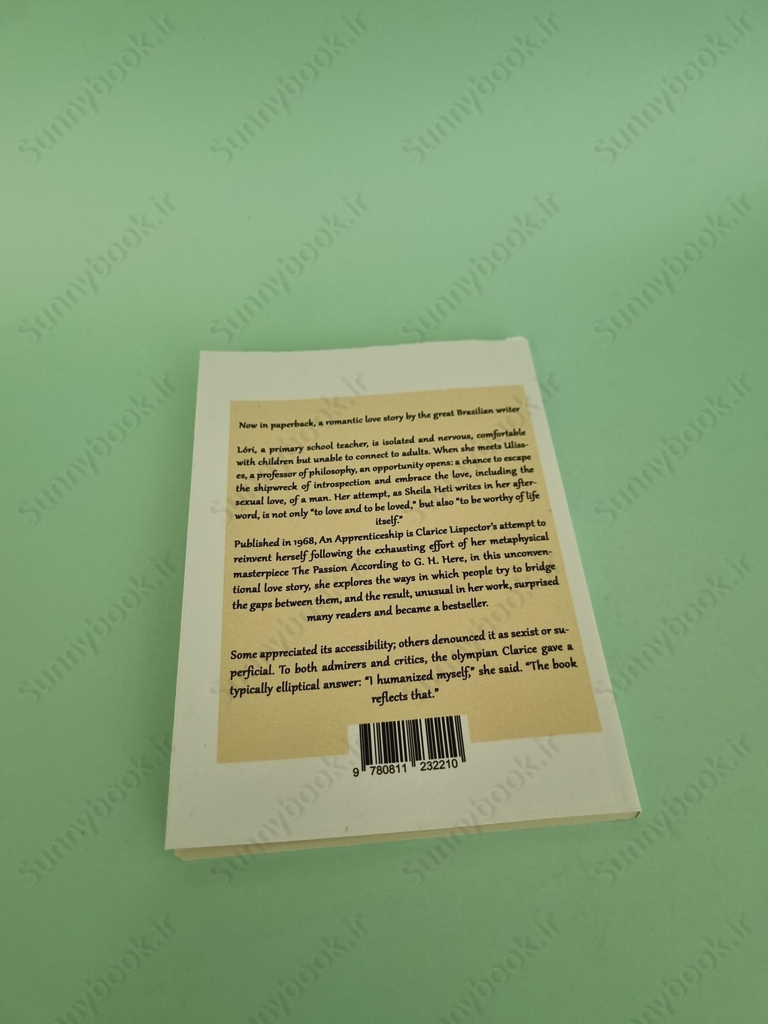 An Apprenticeship or The Book of Pleasures main 1 6