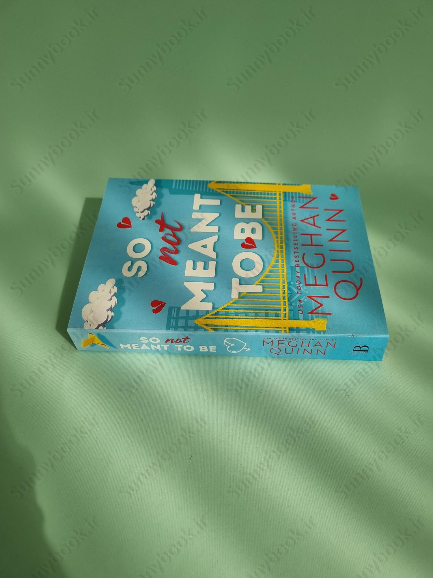 So Not Meant to Be (Cane Brothers, 2) main 1 4