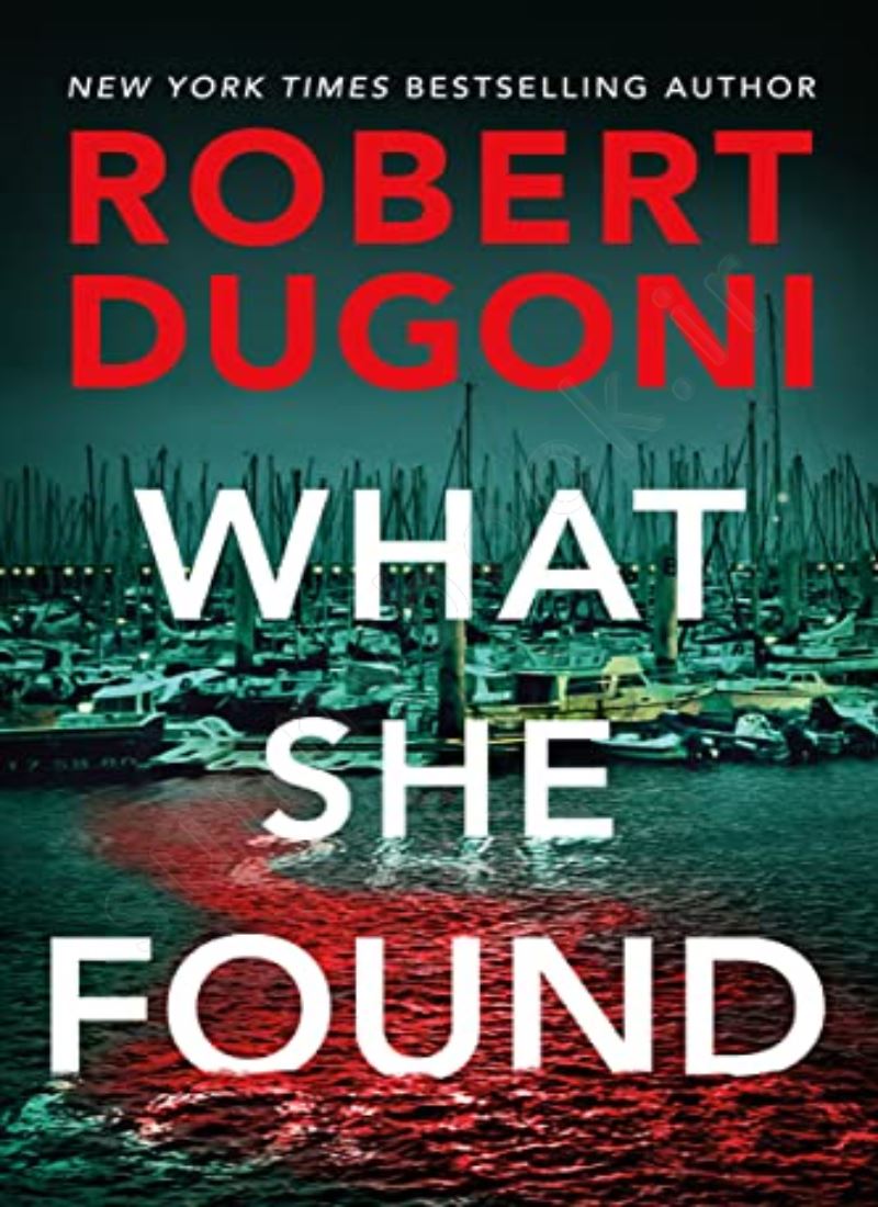 What She Found (Tracy Crosswhite 9) main 1 1