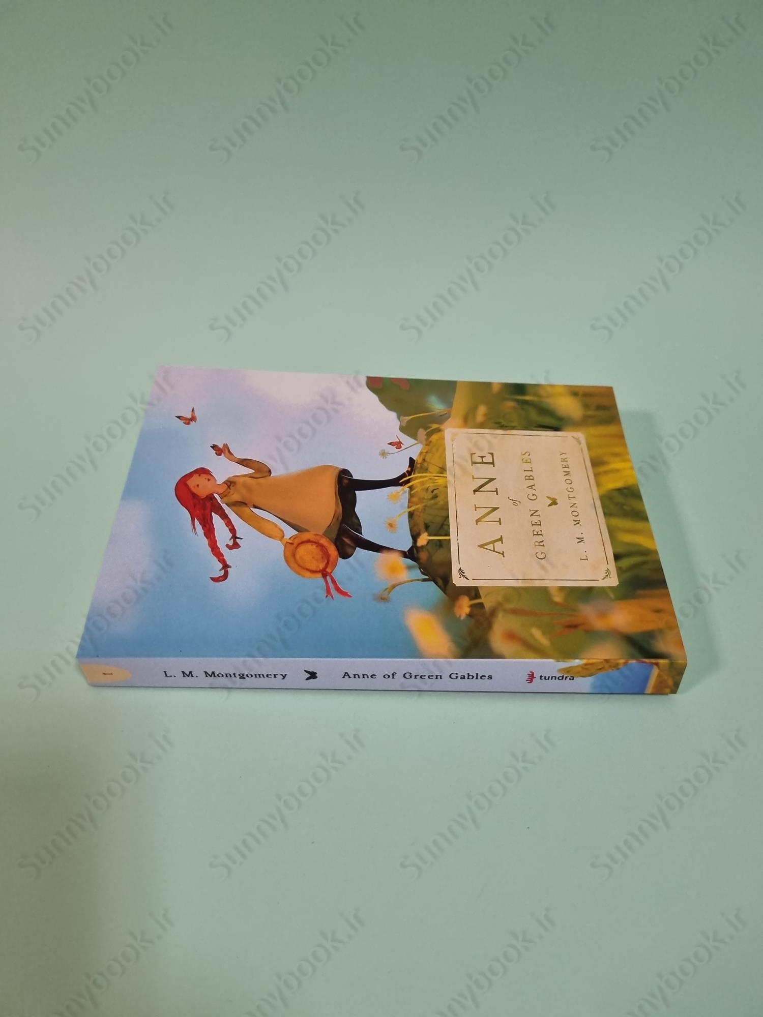 Anne of Green Gables book 1 main 1 4