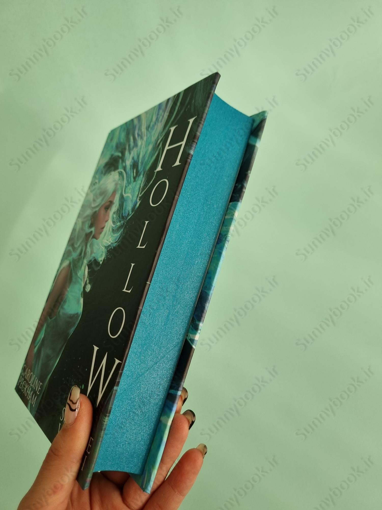 Hollow (Crown of Hearts and Chaos Book 1) main 1 8