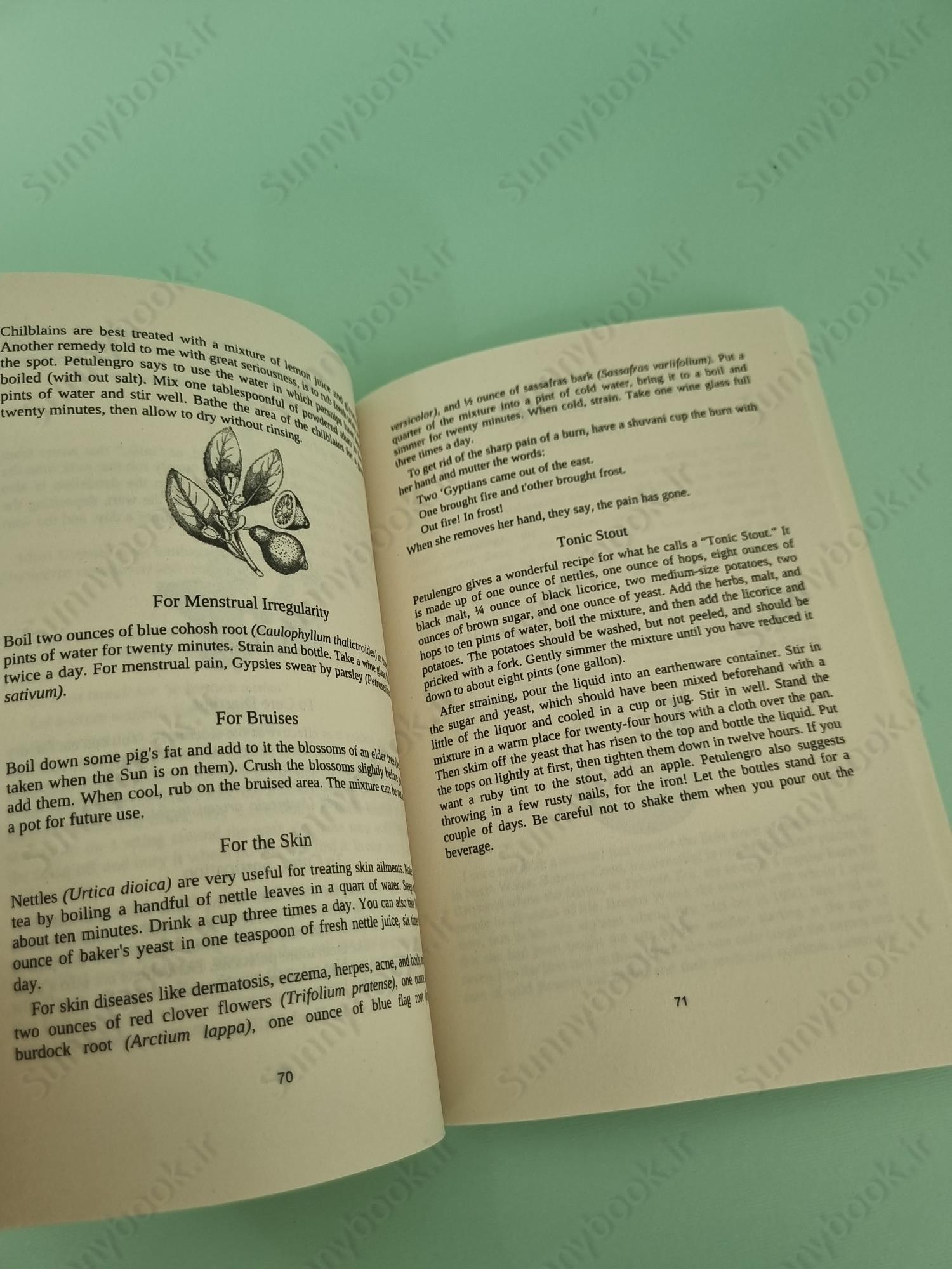 Buckland's Book of Gypsy Magic: Travelers' Stories, Spells  Healings main 1 5