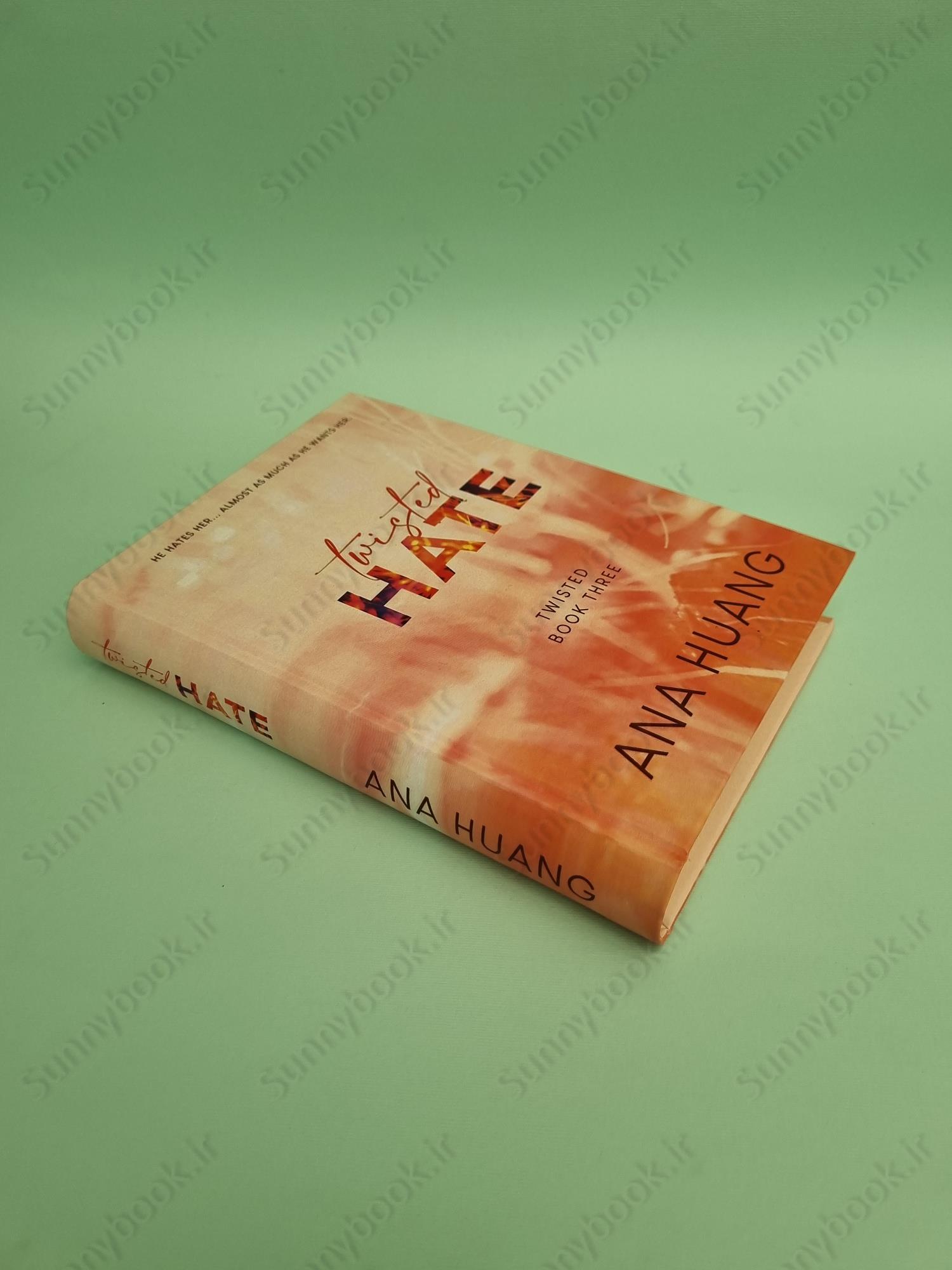 Twisted Hate (Twisted 3) main 1 3