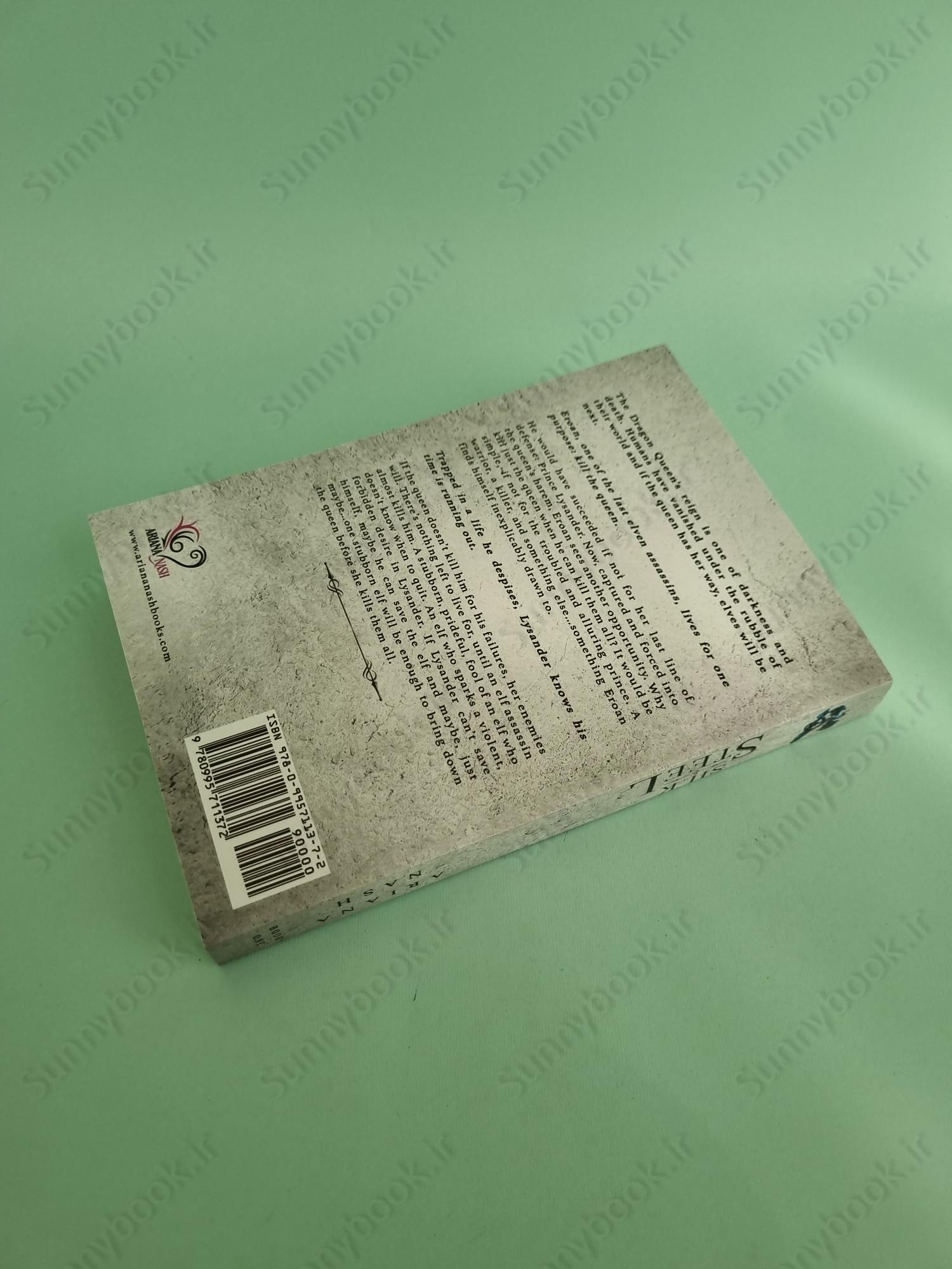 Silk & Steel (Silk and Steel 1) main 1 5