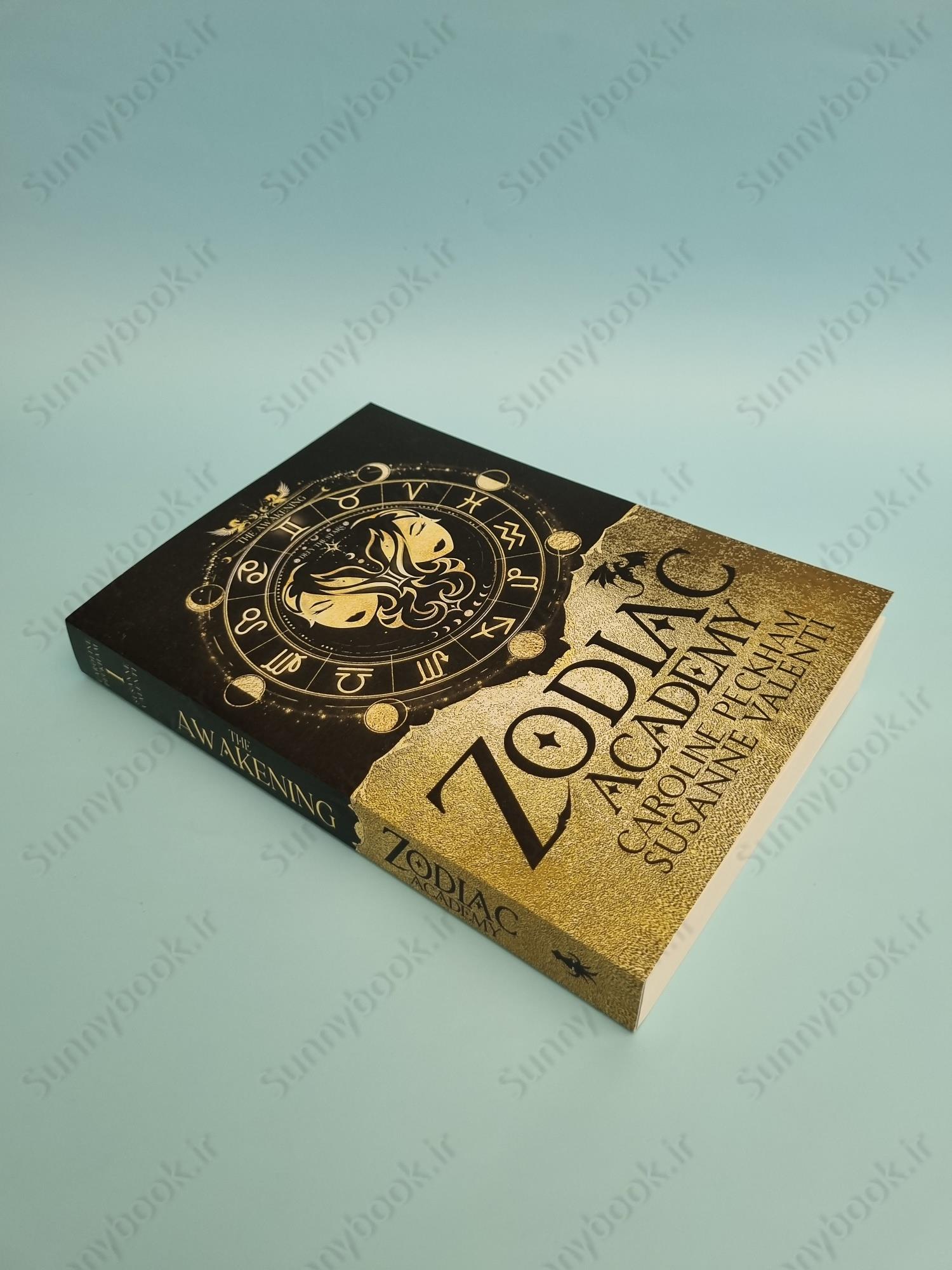 Zodiac Academy 1: The Awakening (Volume 1) main 1 3