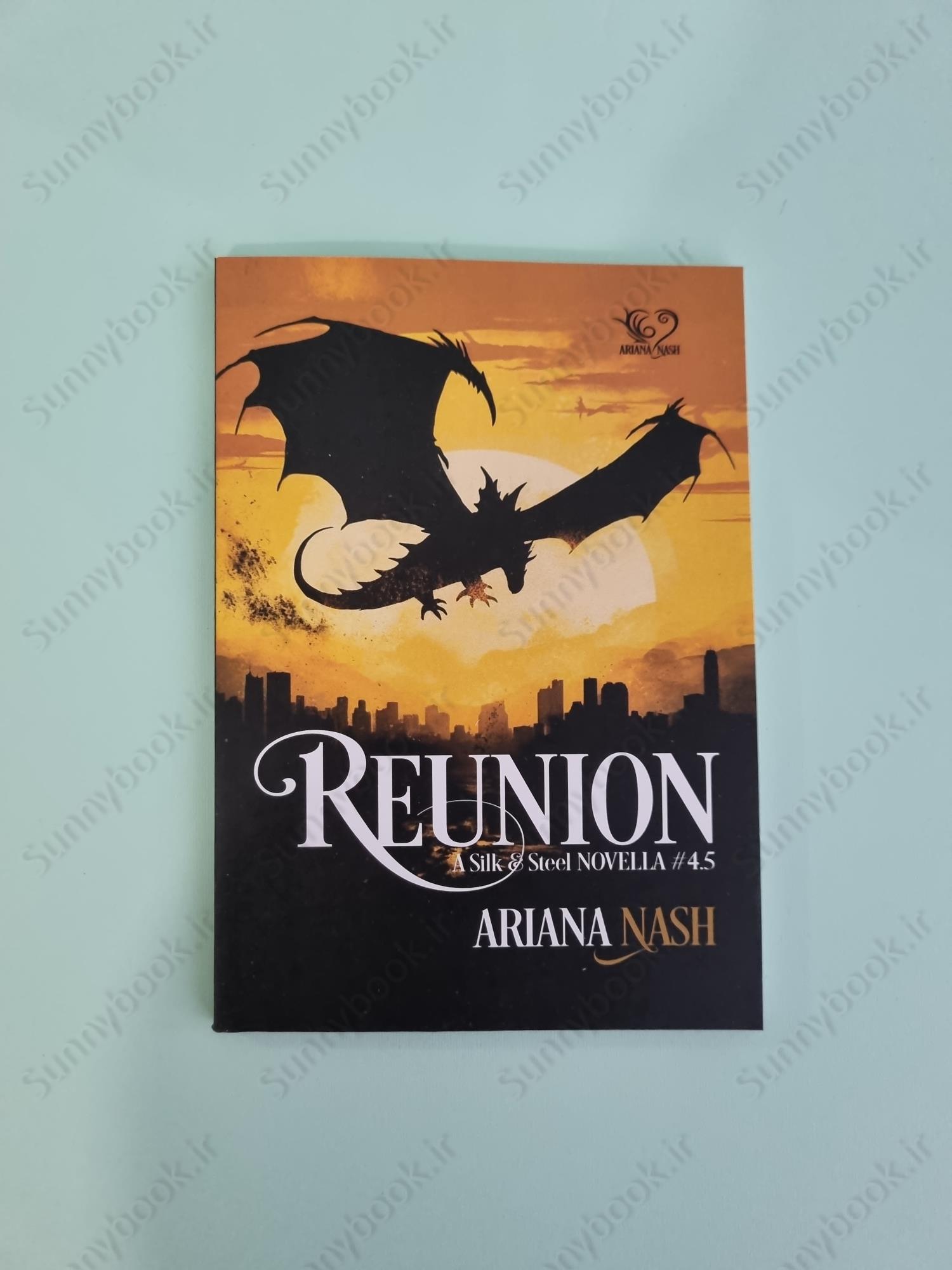 Reunion (Silk and Steel 4.5) main 1 2