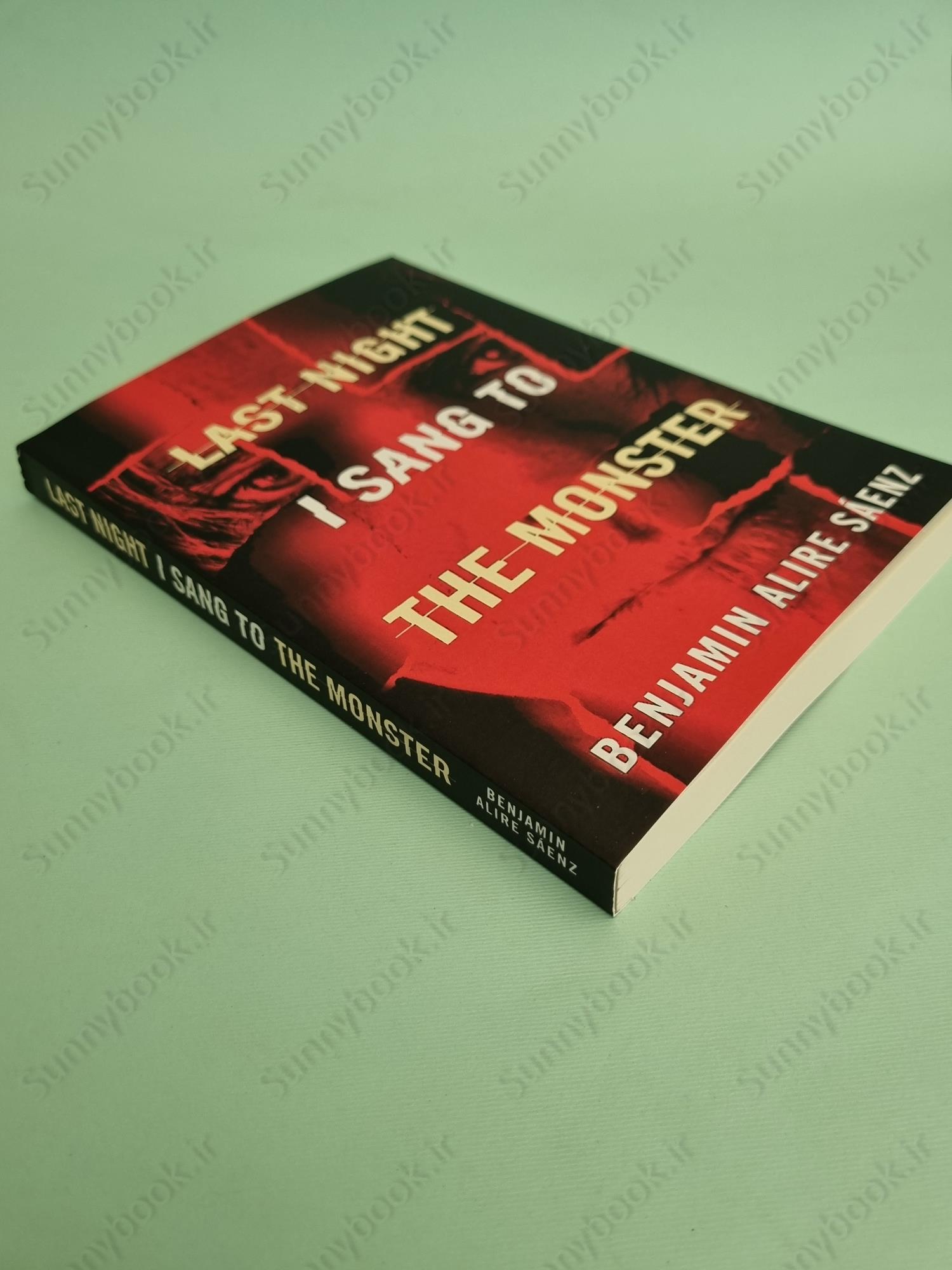 Last Night I Sang to the Monster main 1 2