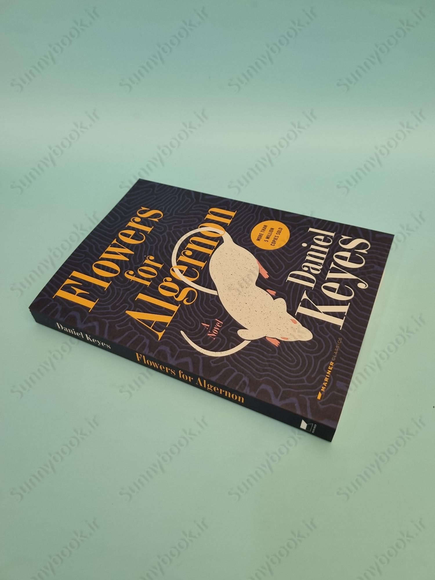 Flowers for Algernon main 1 3