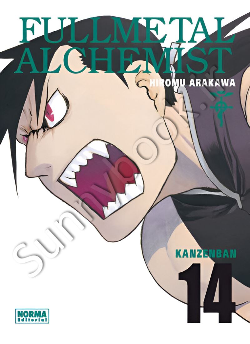 Fullmetal Alchemist , Vol. 14 Model.Title