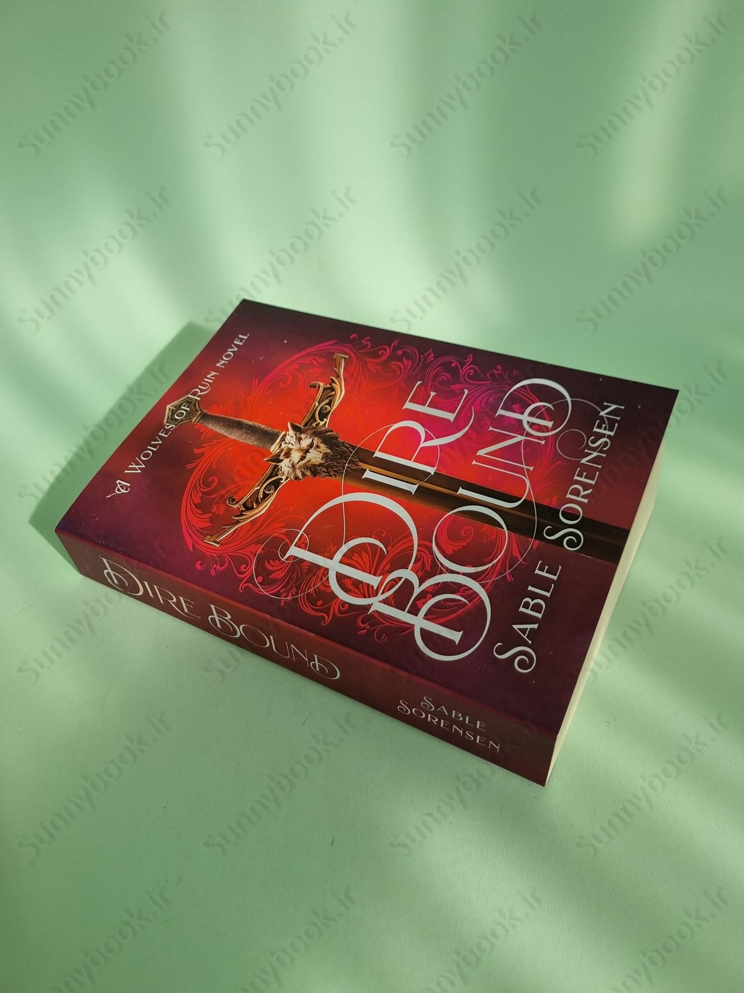 Direbound: A Dark Romantasy (The Wolves of Ruin Book 1) main 1 3