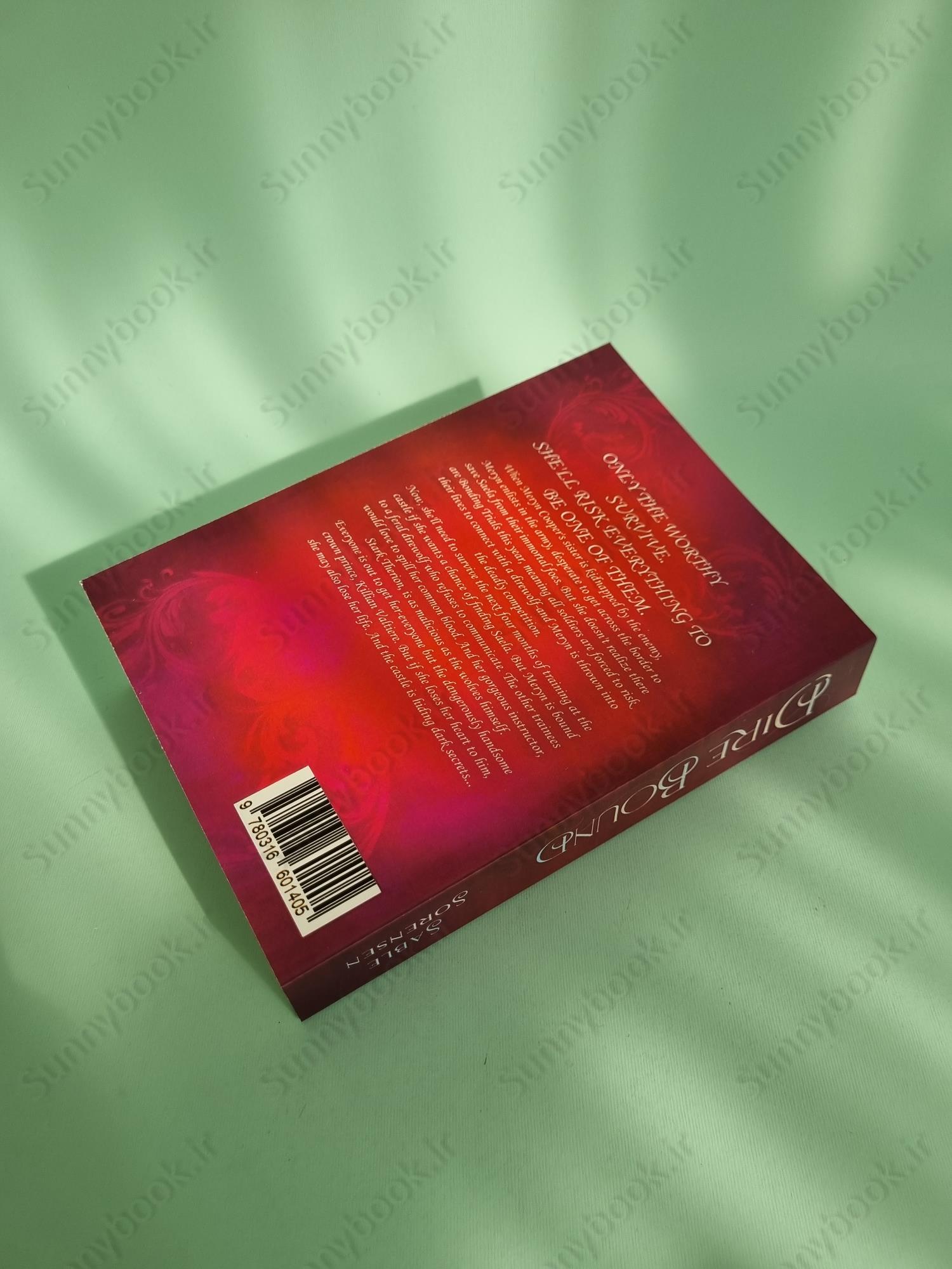 Direbound: A Dark Romantasy (The Wolves of Ruin Book 1) main 1 5