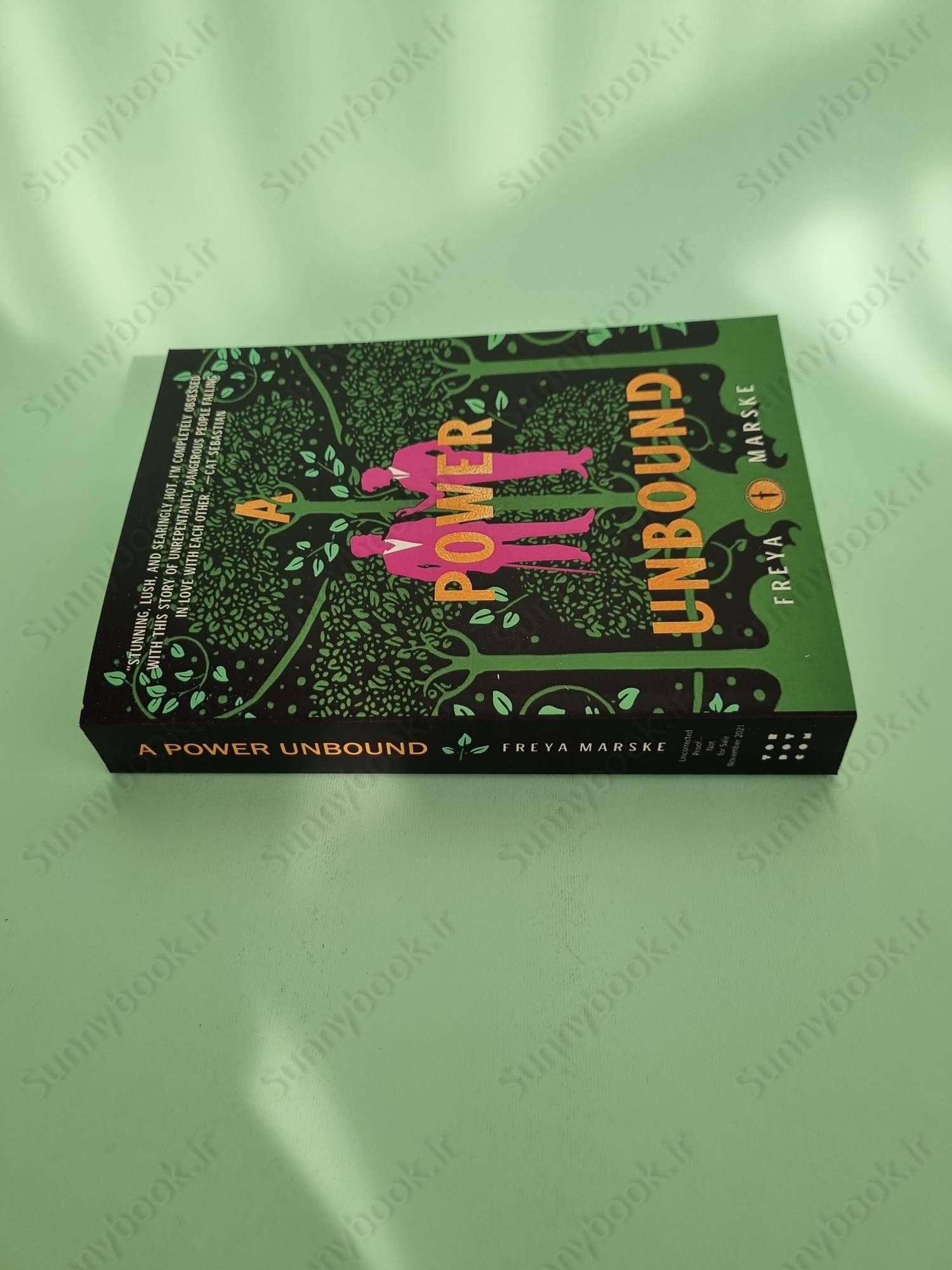 A Power Unbound (The Last Binding 3) main 1 4