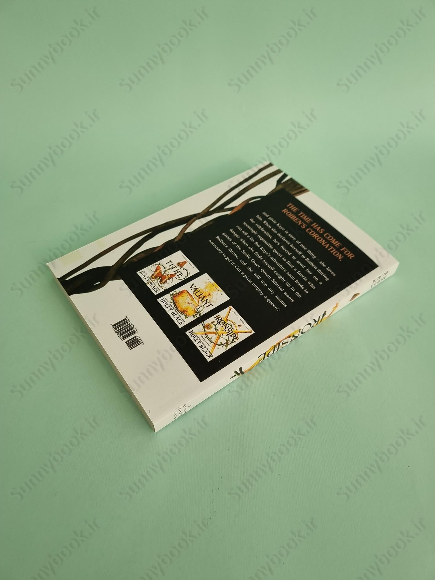 Ironside (Modern Faerie Tales 3) main 1 5