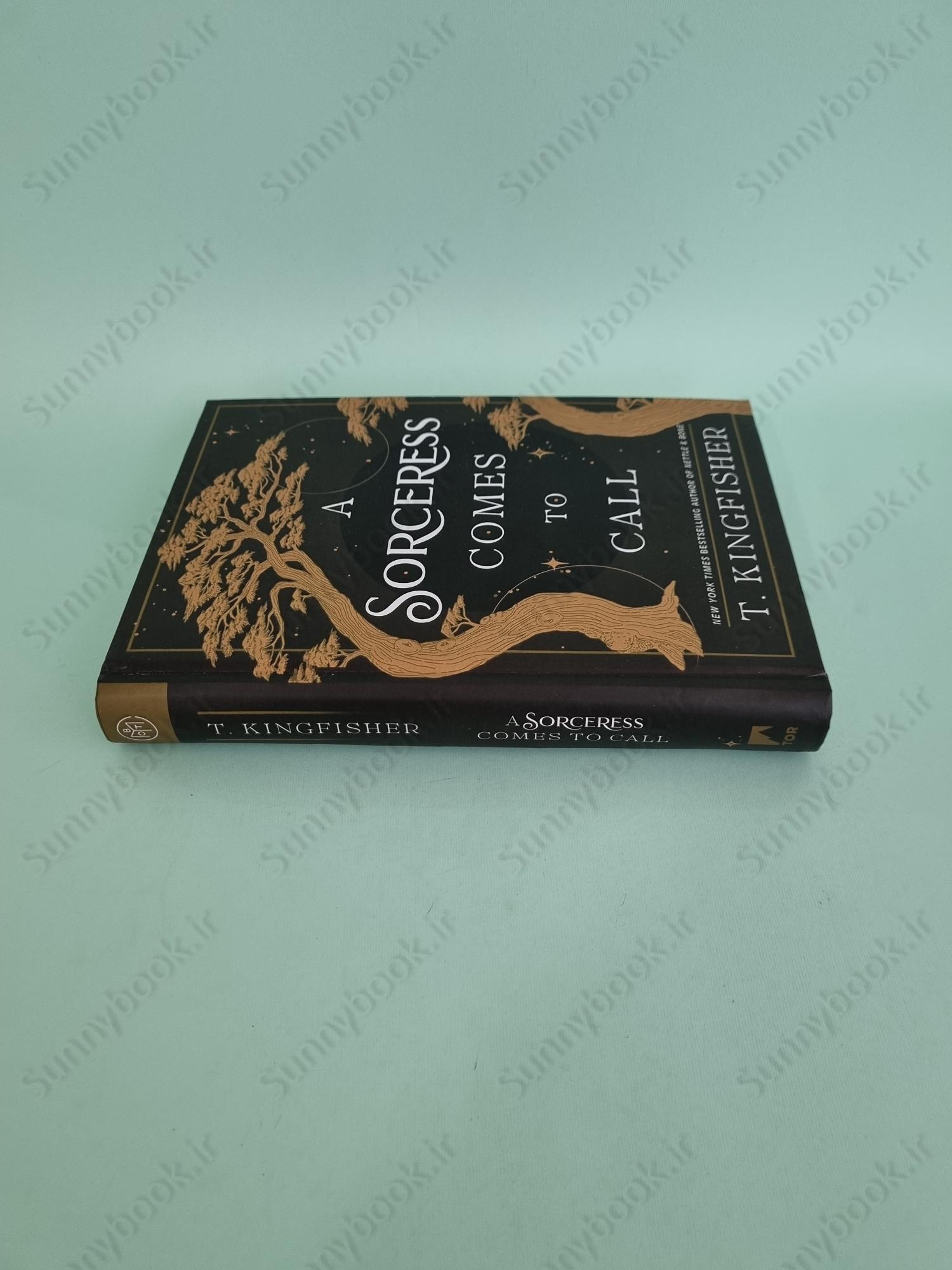 A Sorceress Comes to Call main 1 4