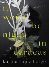 It Would Be Night in Caracas