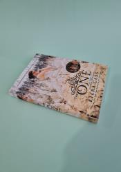 The One (The Selection 3) thumb 1 3