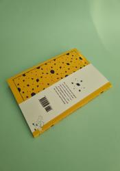 The Little Prince thumb 1 5