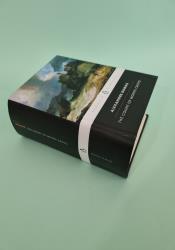 The Count of Monte Cristo thumb 1 3