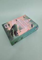 The Wall of Storms (The Dandelion Dynasty Book 2) thumb 2 5