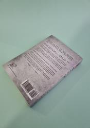 Iron & Fire  (Silk and Steel 2) thumb 1 5