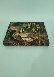 Where the Dark Stands Still thumb 1 4